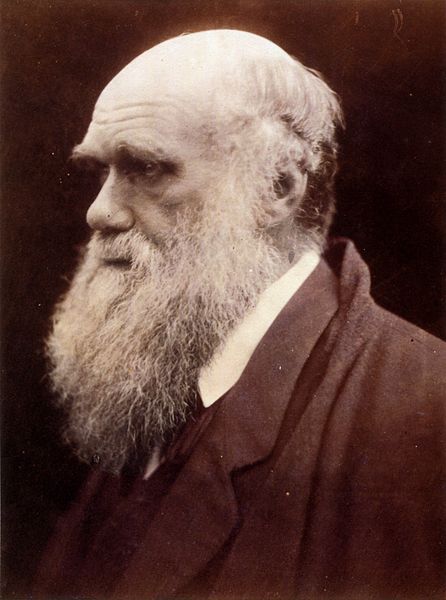 Charles Darwin was moved by evolution and biodiversity